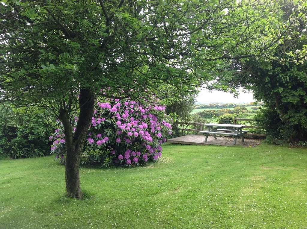 Rose Cottage garden with countryside views
