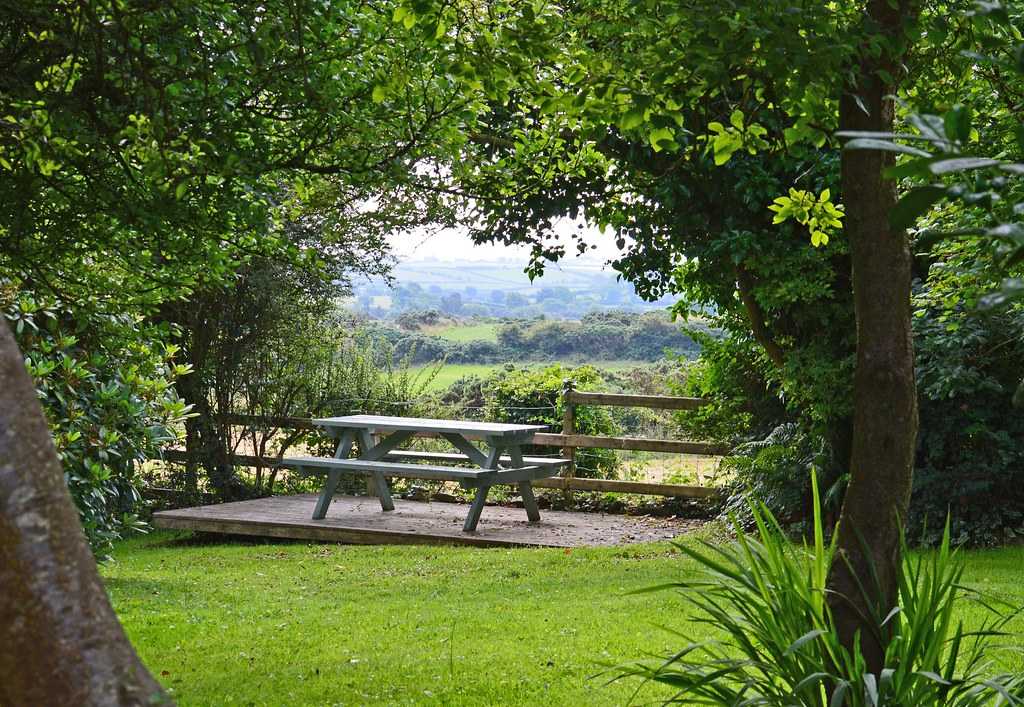 Countryside view from Rose Cottage